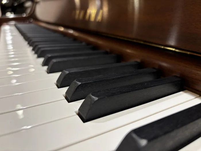 Close-up of piano keys on a walnut upright