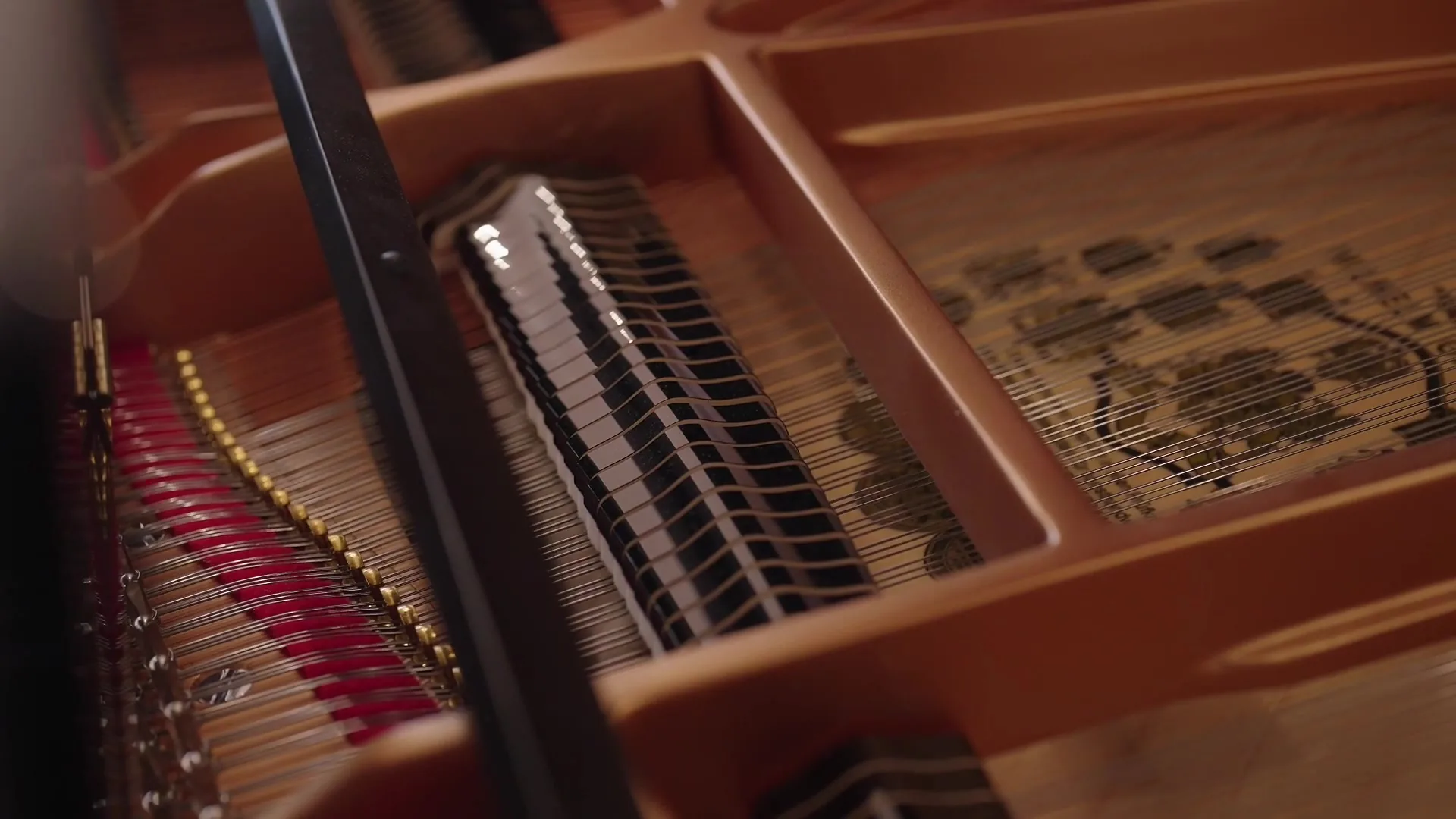 Inside a grand piano: the strings, red felt and polished wooden rim